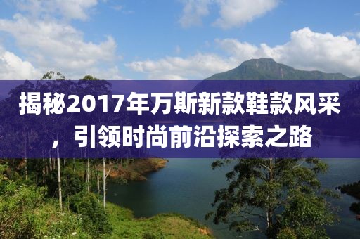 揭秘2017年万斯新款鞋款风采，引领时尚前沿探索之路