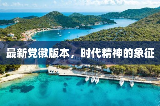 最新党徽版本，时代精神的象征