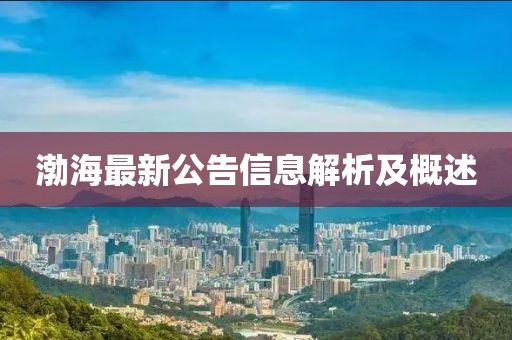 渤海最新公告信息解析及概述