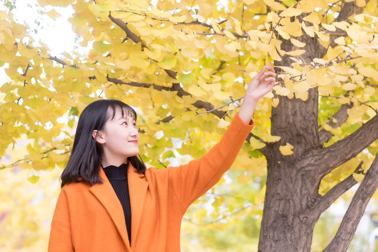 我的女友，超级大明星的甜蜜爱恋