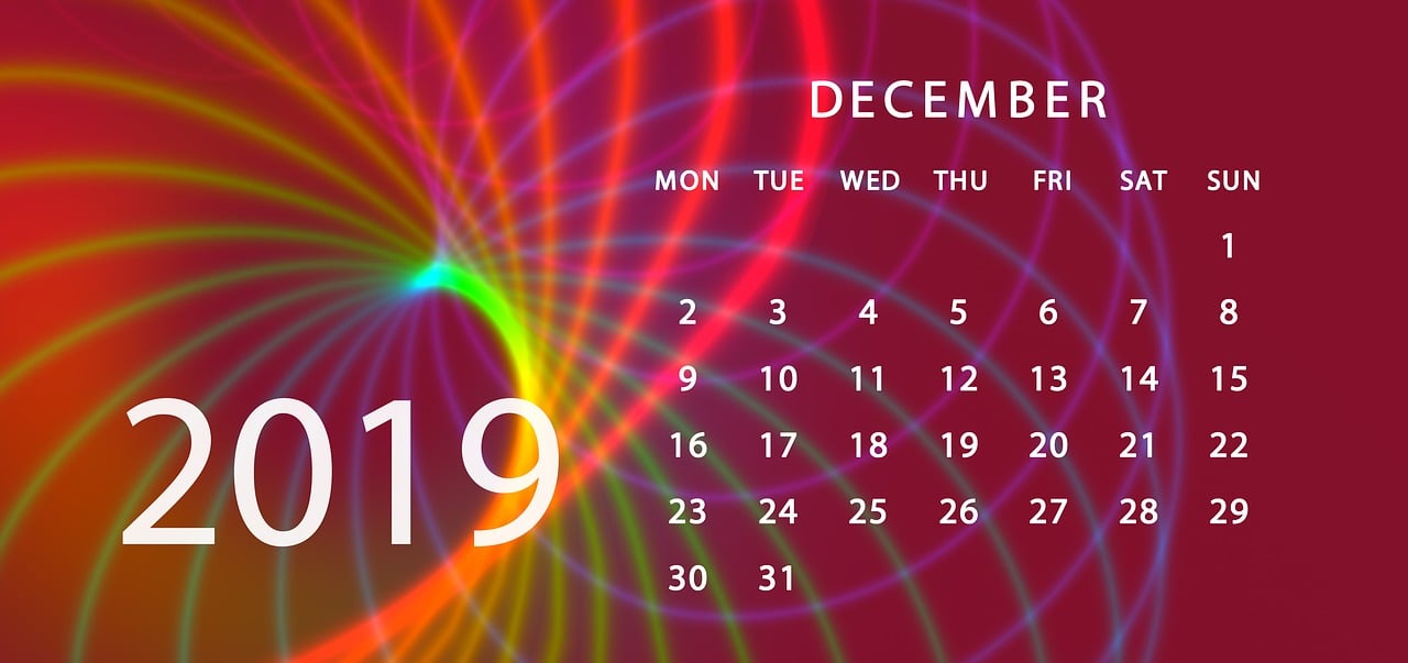 新澳门2024年正版码表，12月15日综合行动计划