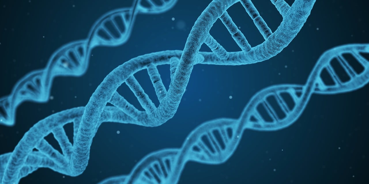 2024年管家婆100%中奖，科学发展的历程：第66.99.95阶段