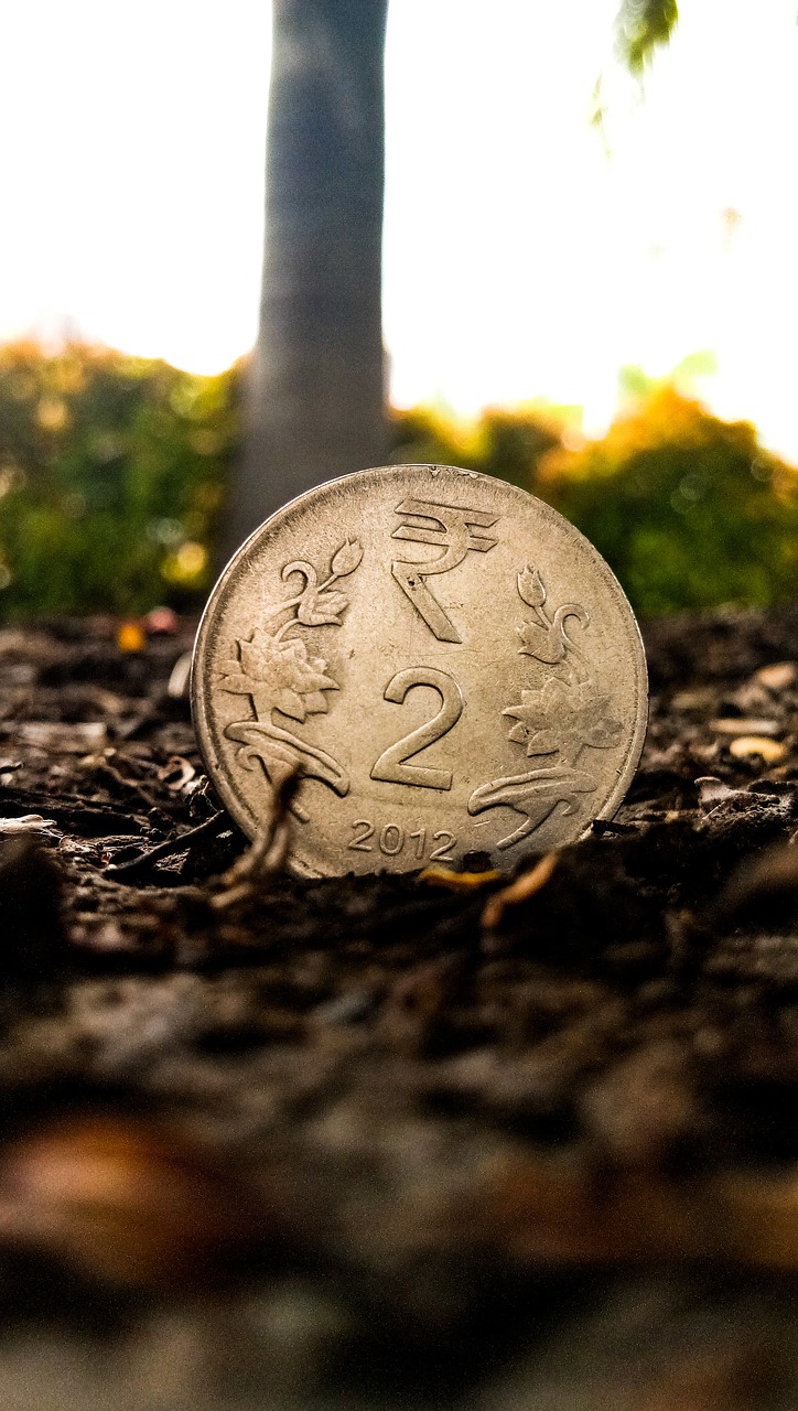 花开无言 第4页