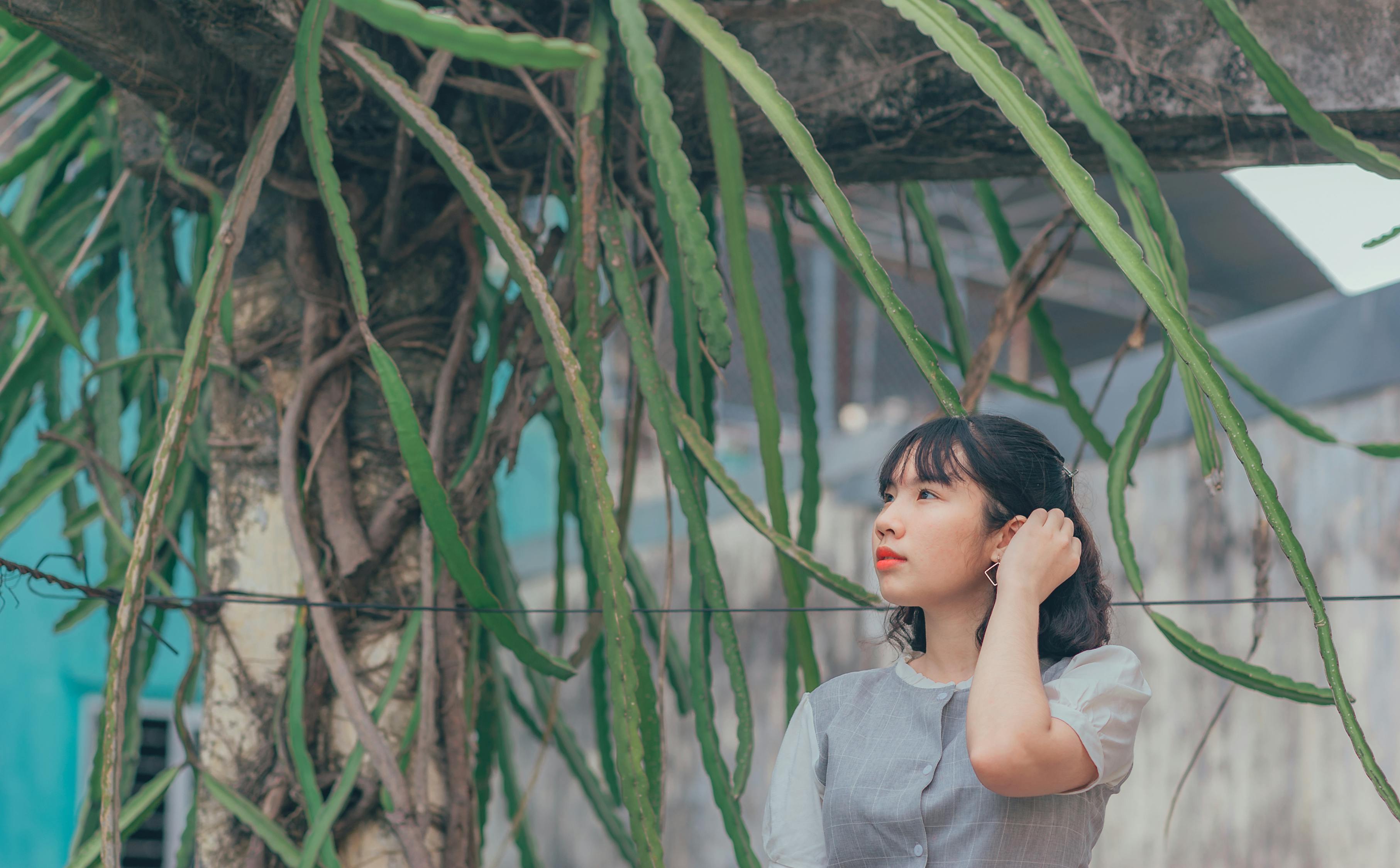 我是大明星李莉，闪耀之星的光芒之路