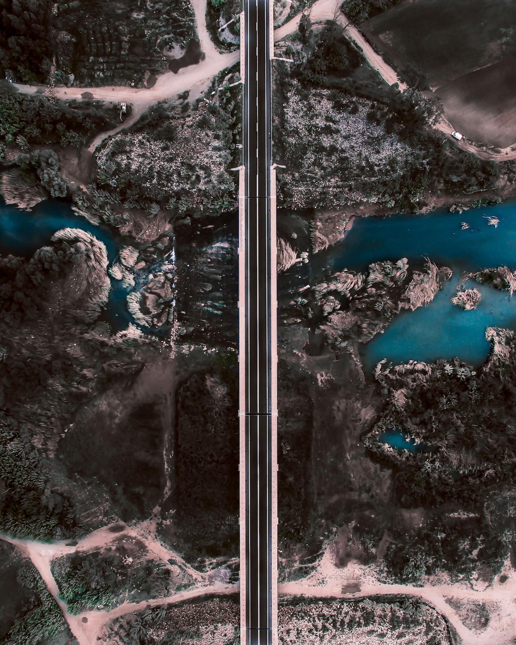 素描明星图片，艺术视角下的璀璨星辰之旅