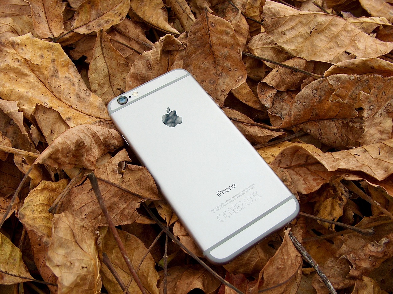 苹果iPhone 15手机图片及最新价格表曝光