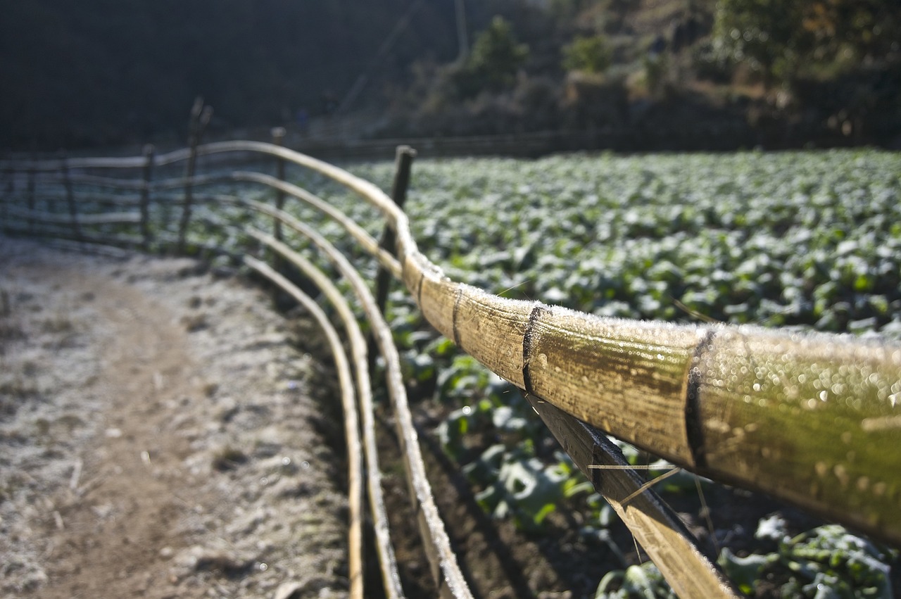 青海新闻网最新资讯概览，最新资讯动态一网打尽